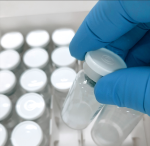 Lyophilized vials