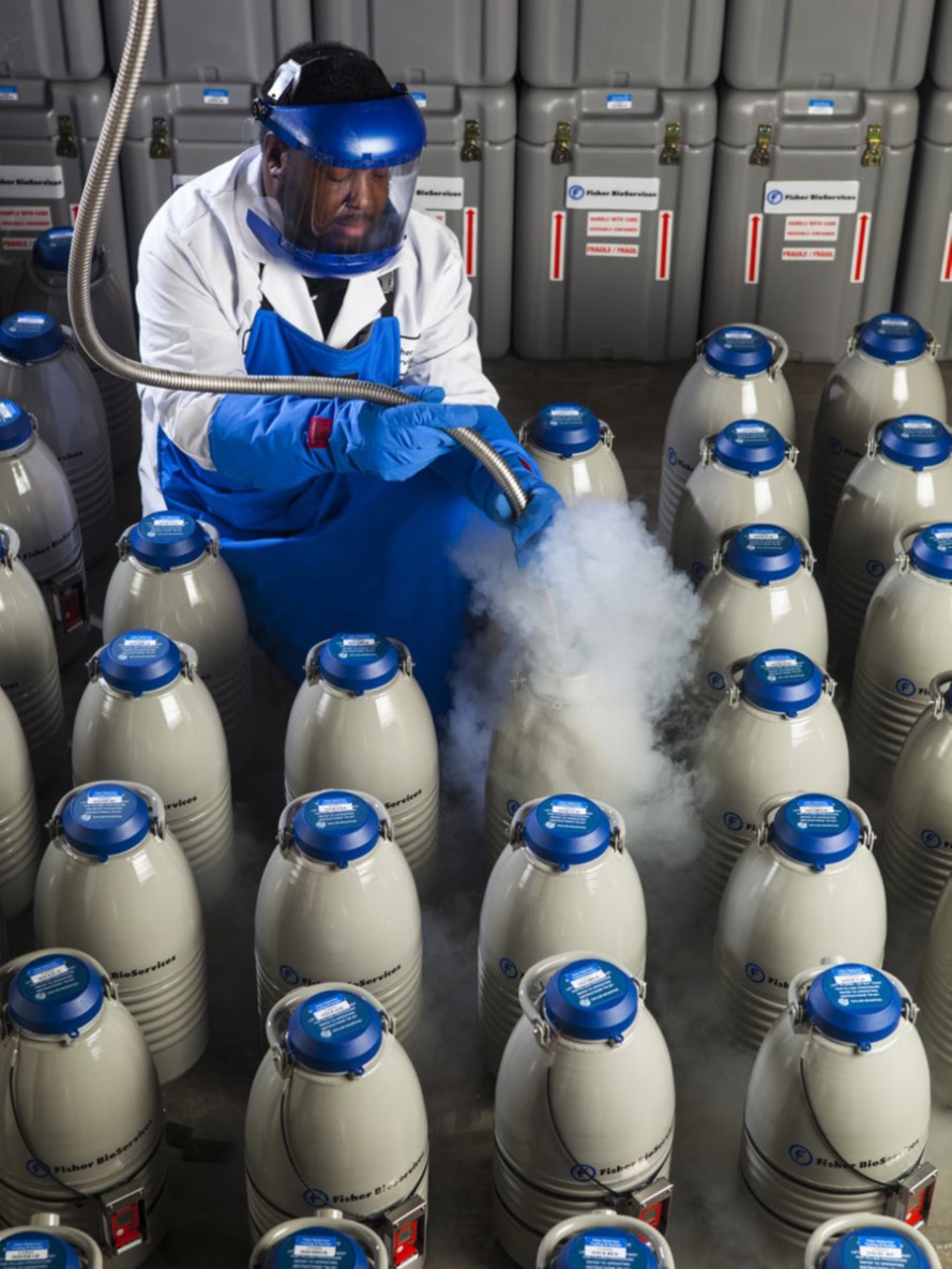 Cold chain logistics process for preserving biopharmaceutical drug integrity