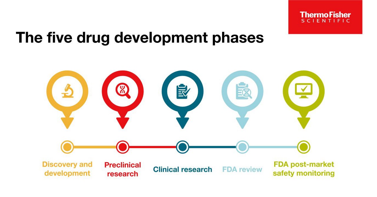 The Stages Of Drug Discovery And Development Process WAEXX The Stages Of Drug Discovery And Development Process WAEXX