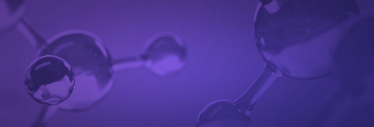Onsite Personalization Banner