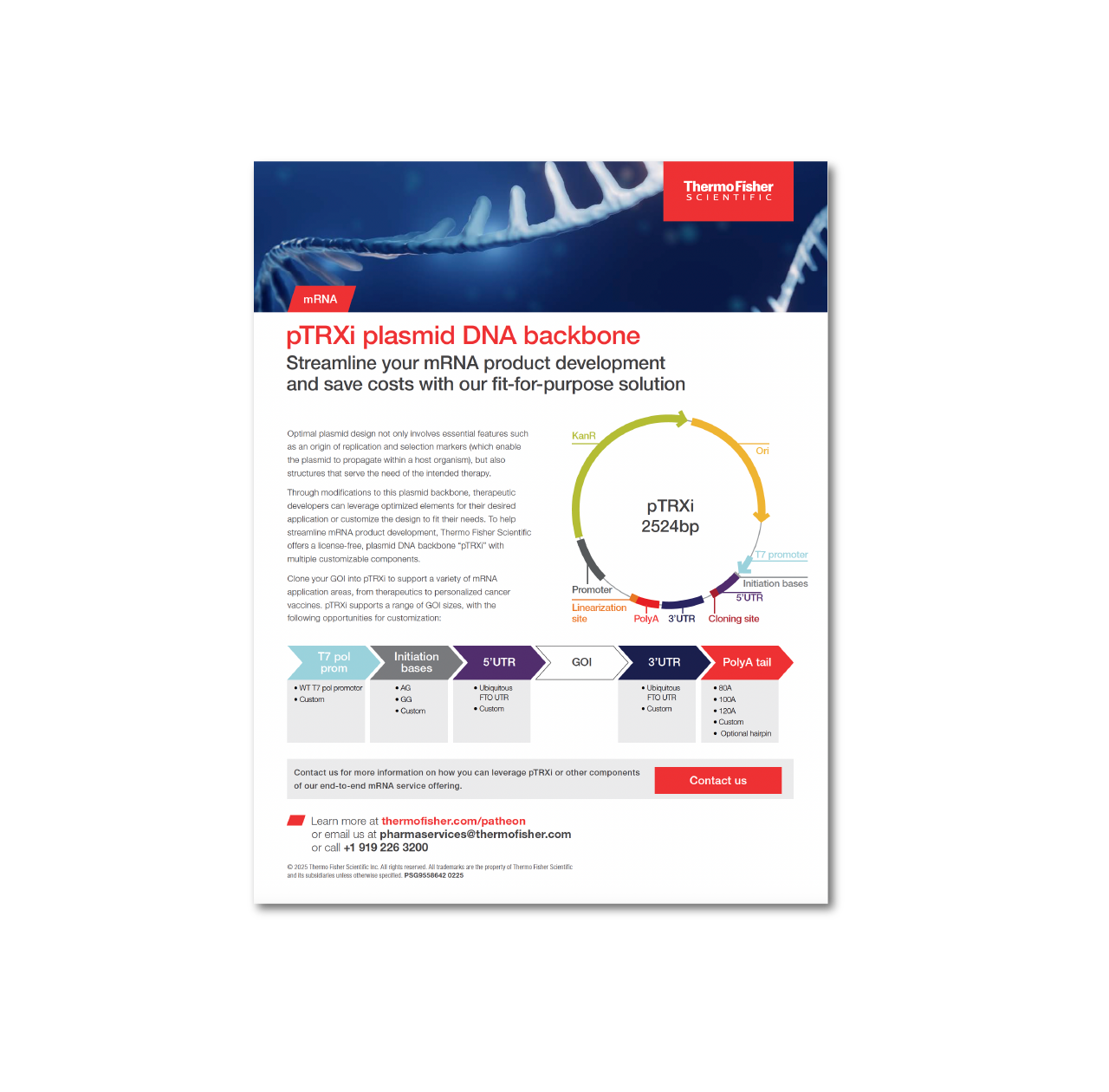 Streamline your mRNA workflow with pTRXi plasmid DNA backbone
