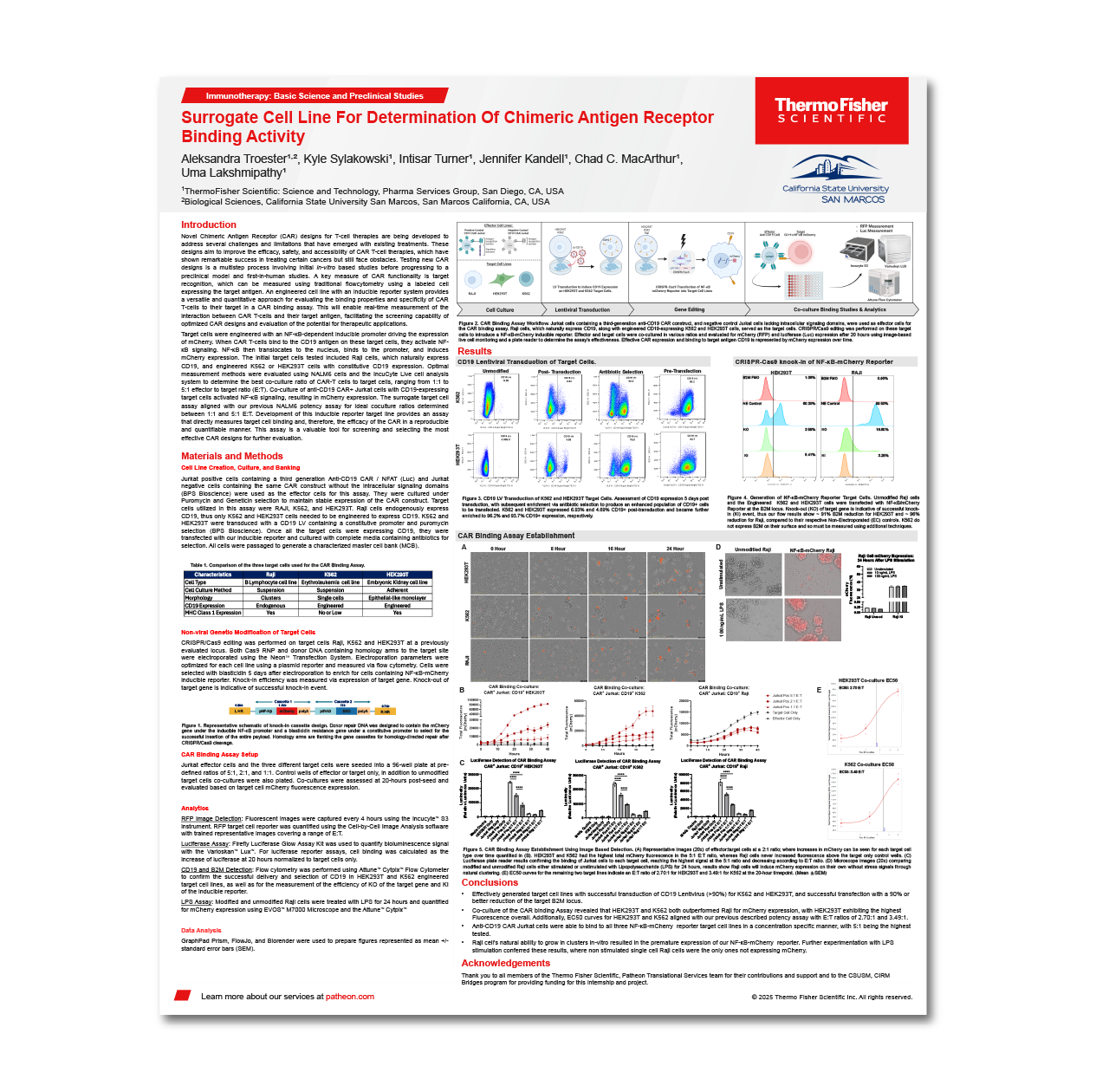 Vector Copy Number Assay & CAR Expression Reference Standards