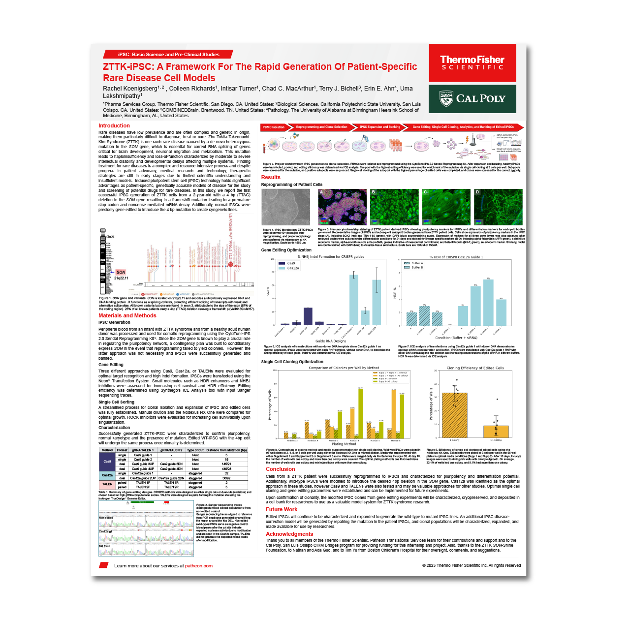 Framework for Rapid iPSC Generation of ZTTK Cells