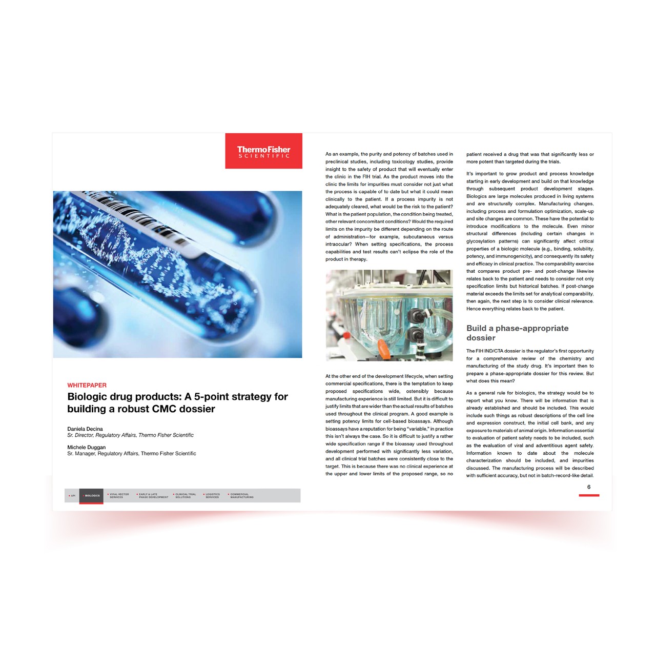 Biologic drug products: A 5-point strategy for building a robust CMC dossier