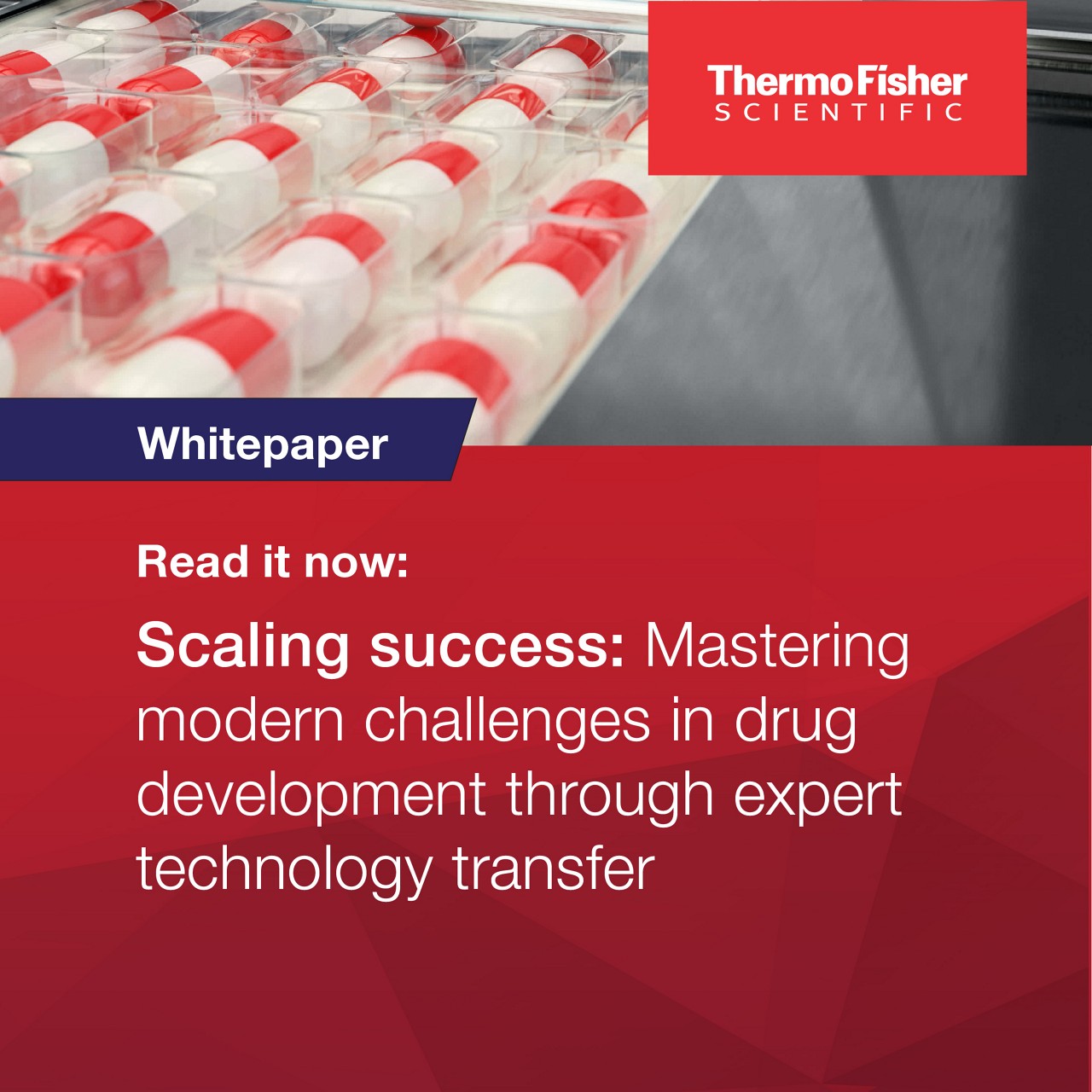 Mastering Drug Development Challenges through Tech Transfer