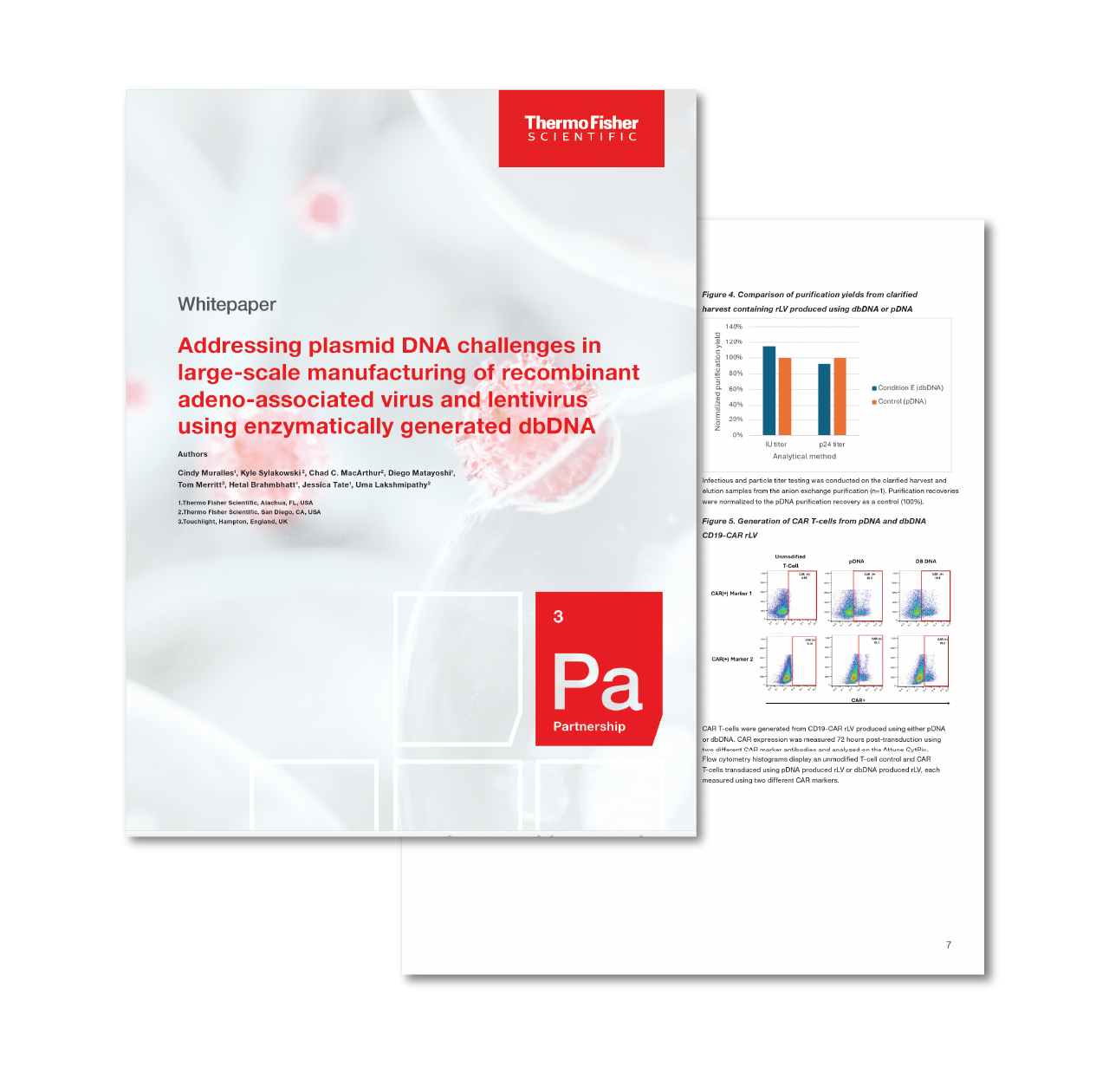 Using dbDNA for Recombinant AAV and LV Production - Thermo Fisher Scientific