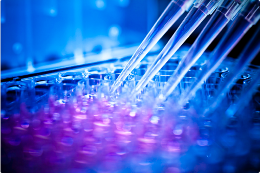 Process and analytical development