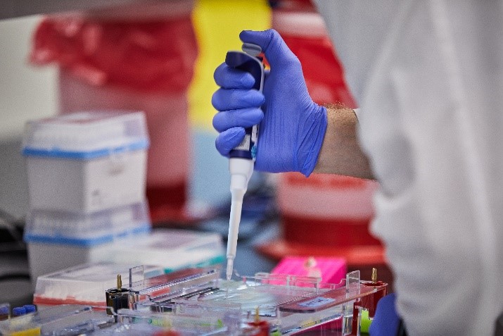 Molecular biology services