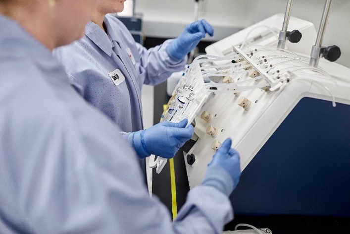 Plasmid cGMP manufacturing