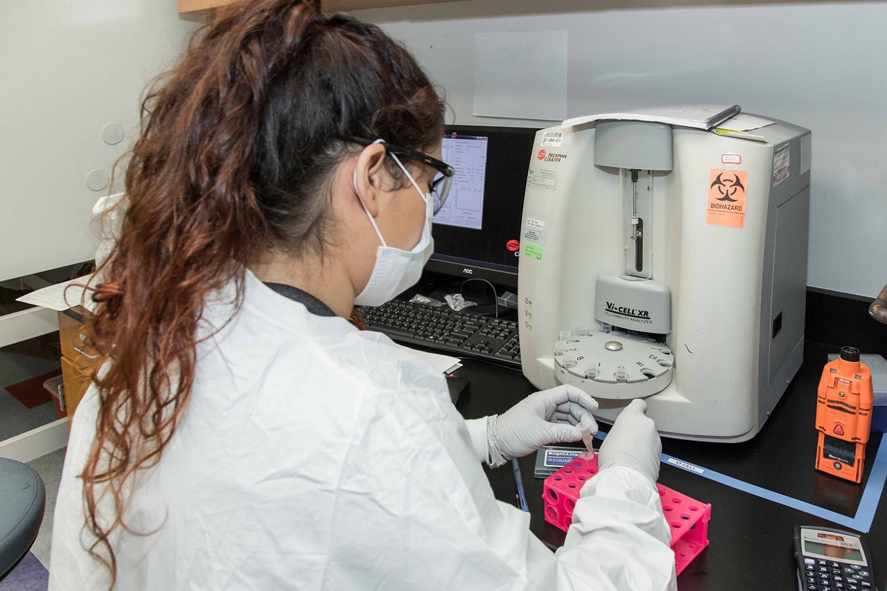 Viral vector process development services