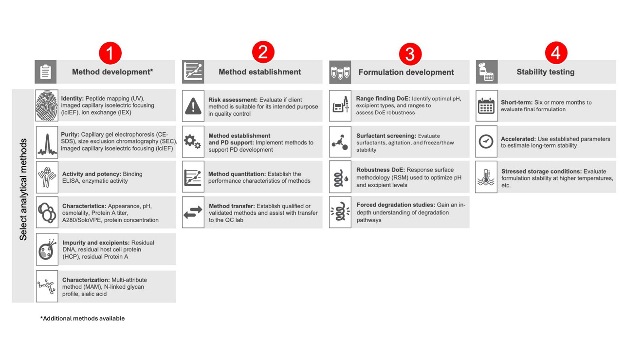 Overview of the cell line development process
