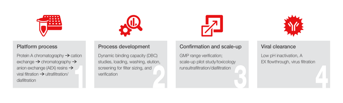Downstream Process Development for Biologics - Patheon pharma services