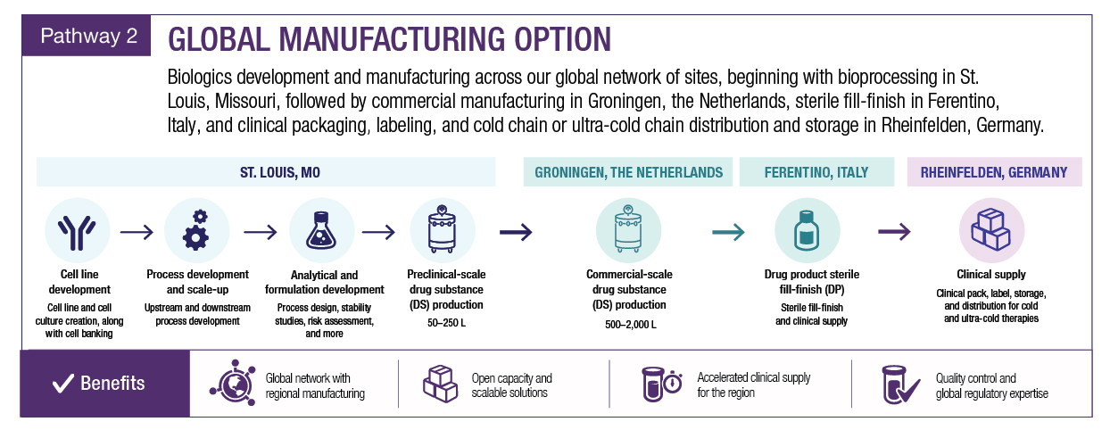 US and global biologics manufacturing pathways from cell line development through clinical supply services.