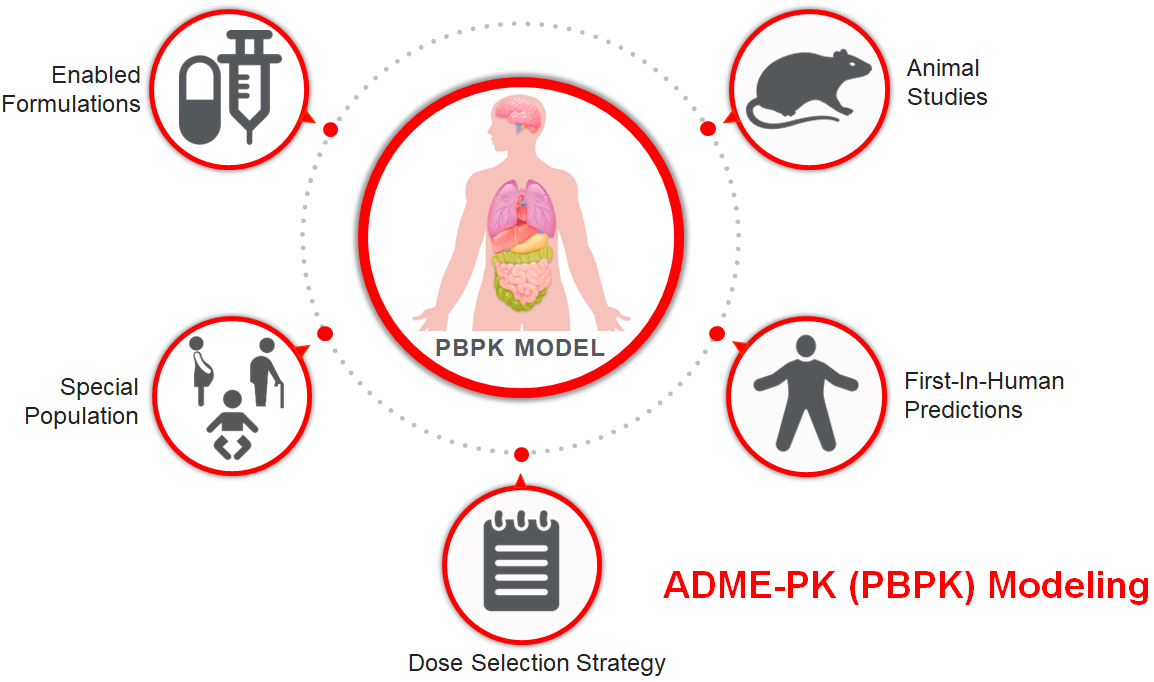 ADMI-PK (PBPK) Modeling