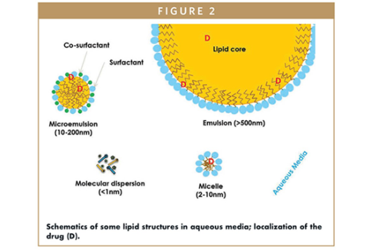 Lipid-based drug delivery system