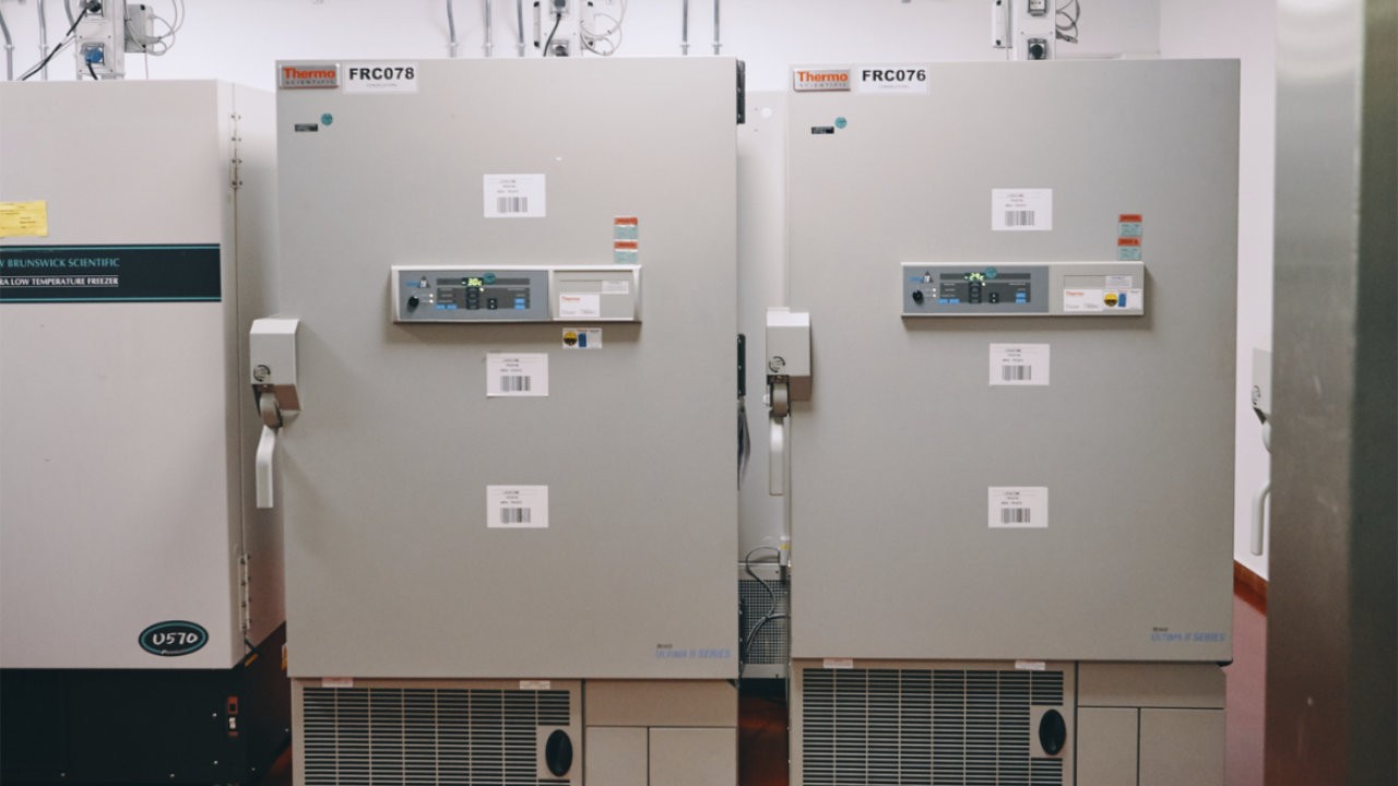 Sterile fill finish equipment at Monza, Italy site